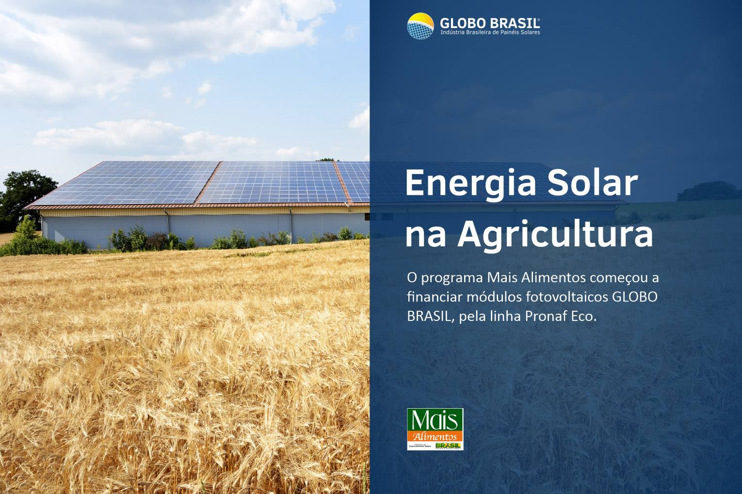 12968167_565940260234745_8989773297574225207_o